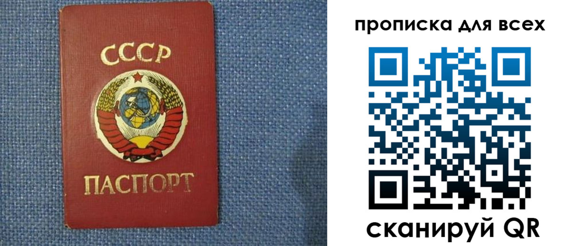 прописка в квартире в Арсеньеве